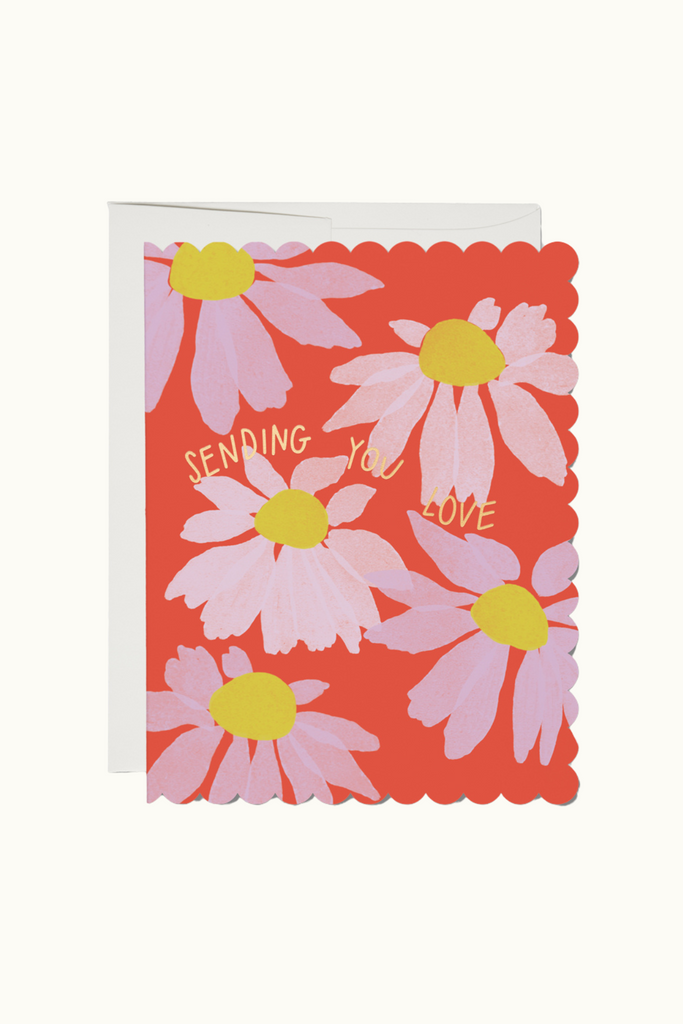 Red Cap Scalloped Coneflower Card