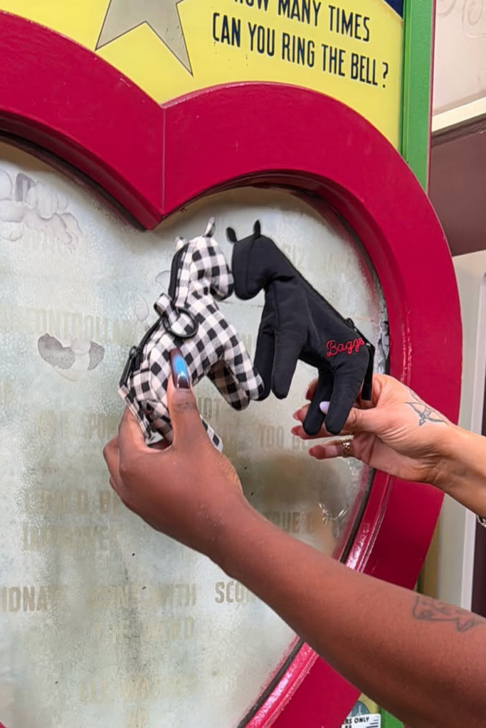 Baggu Horse Charm in Black at Parc Shop | Minneapolis, MN