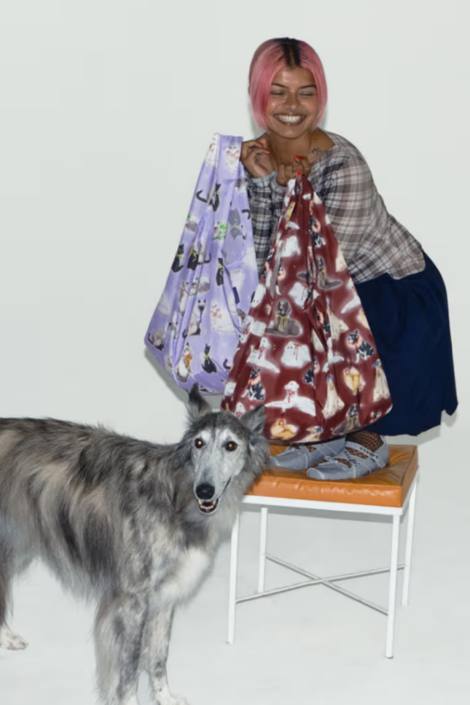 Standard Baggu in Fancy Cats at Parc Shop | Minneapolis, MN