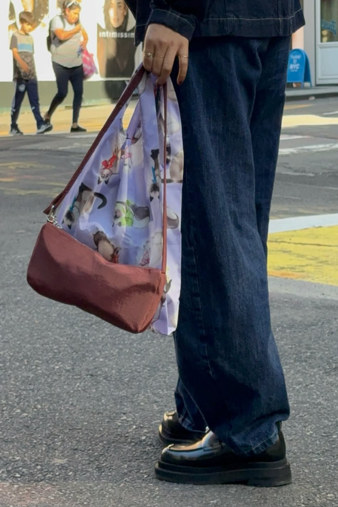 Standard Baggu in Fancy Cats at Parc Shop | Minneapolis, MN