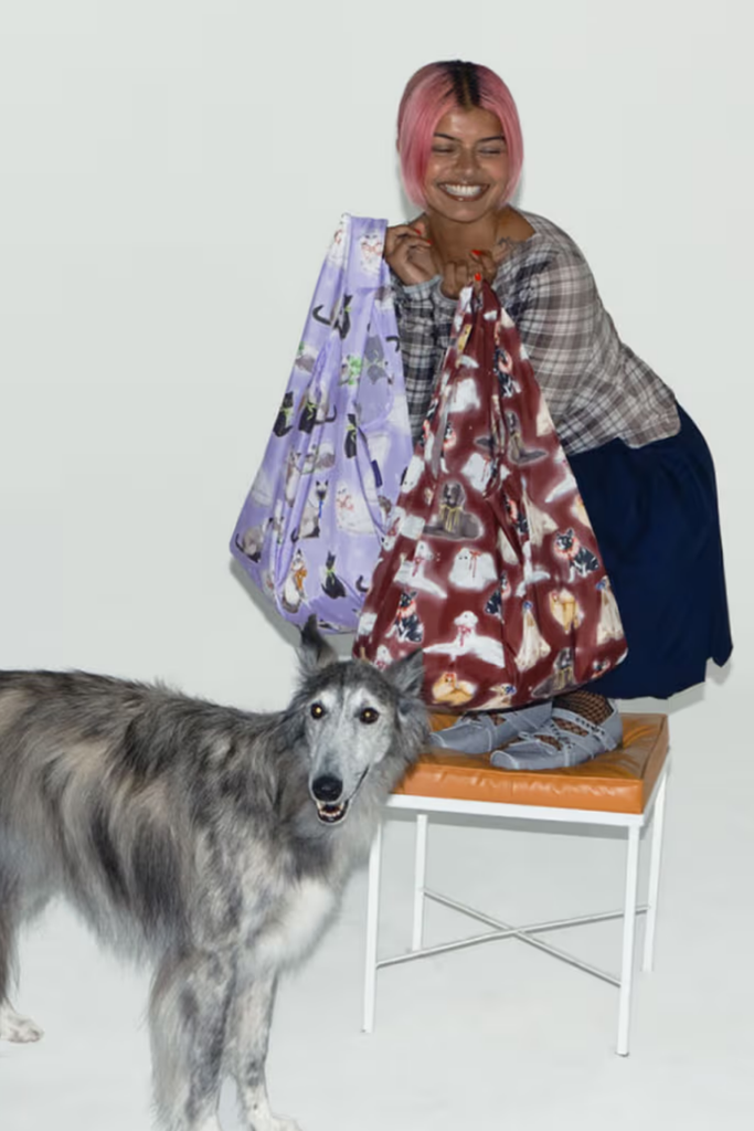 Standard Baggu in Fancy Dogs at Parc Shop | Minneapolis, MN