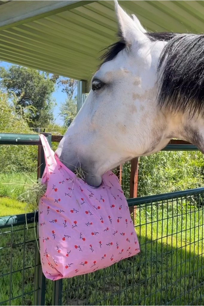 Standard Baggu in Painted Wildflower at Parc Shop | Minneapolis, MN