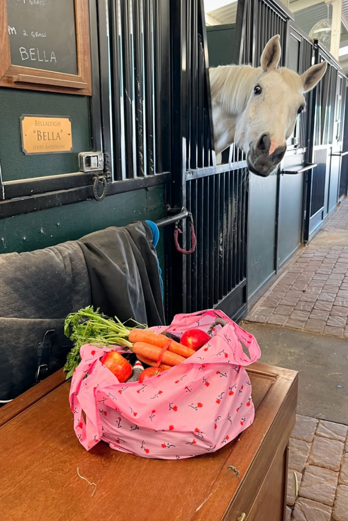 Standard Baggu in Painted Wildflower at Parc Shop | Minneapolis, MN