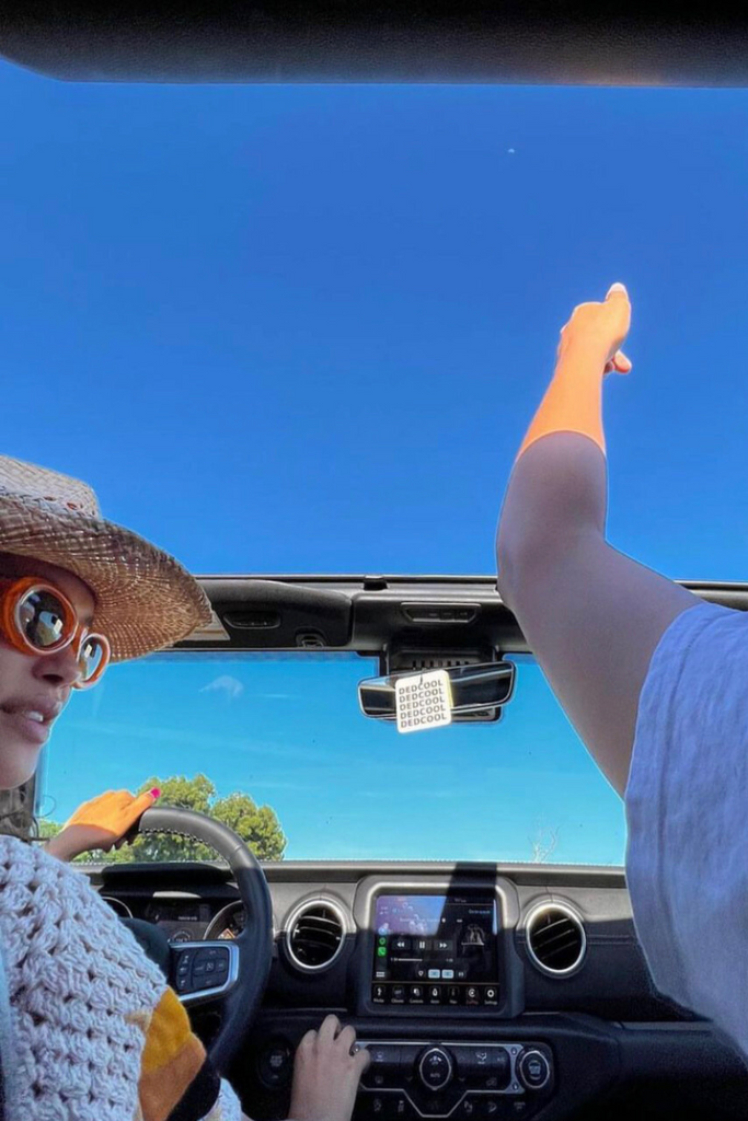 Dedcool Taunt 01 Air Freshener at Parc Shop